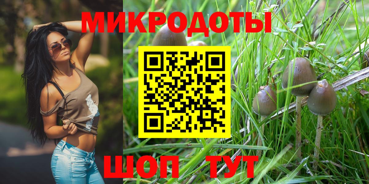 Серов  Галлюциногенные грибы прущие грибы  Вход с VPN 